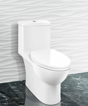 Caroma One Pieces Toilet