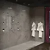 pf_rhen_ts_c_rs1