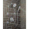 DELTA UNIVERSAL SHOWERING H2Okinetic Single-Setting Hand Shower - Thumbnail Image 4